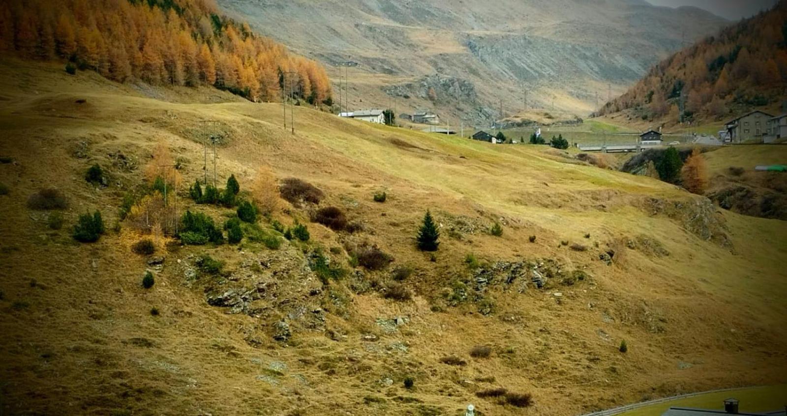 Appartamento Fausta Livigno Exterior foto