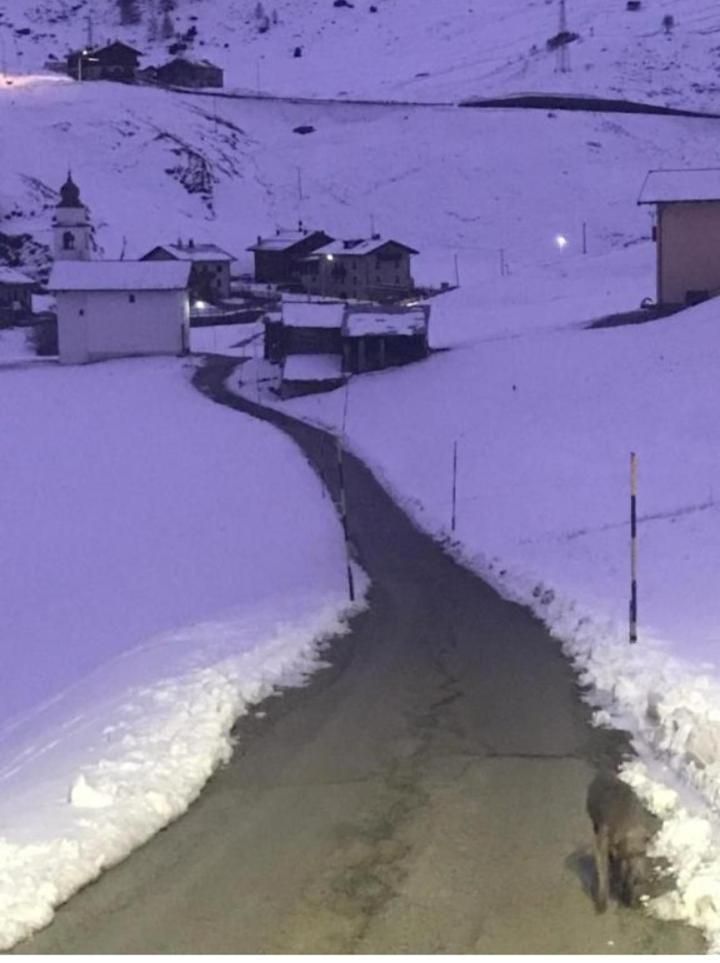 Appartamento Fausta Livigno Exterior foto